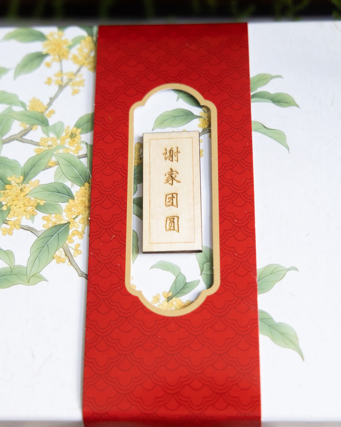 桂珀 Amber